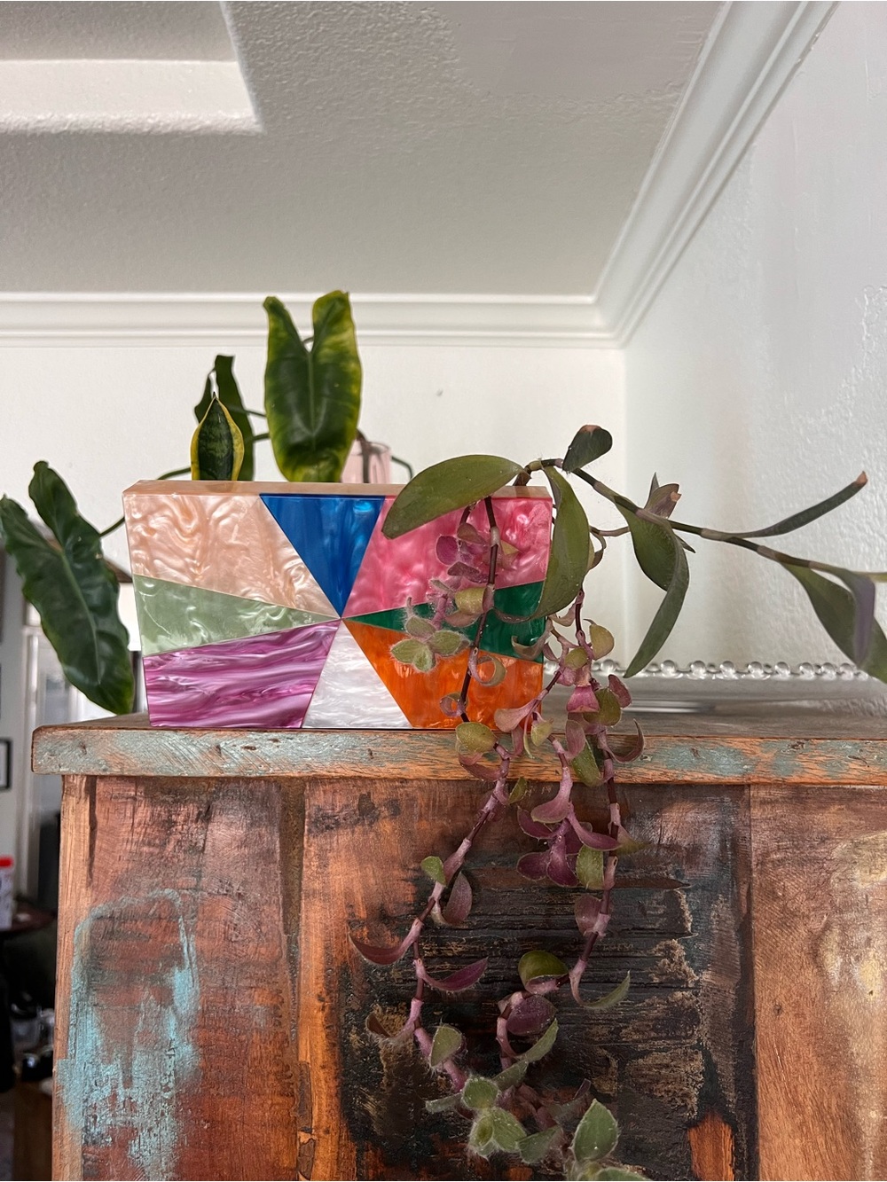 ✨ One-of-a-Kind Handmade Hanging Propagation Display ✨